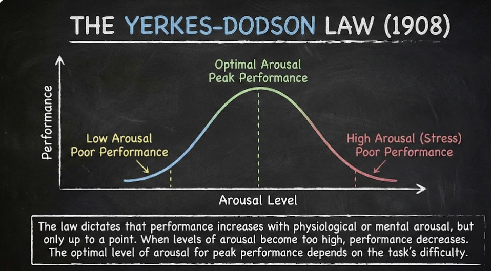 Screenshot 2025-12-29 084222.png